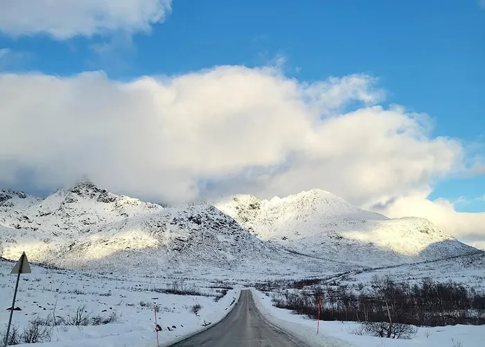 Polar House * Tromso